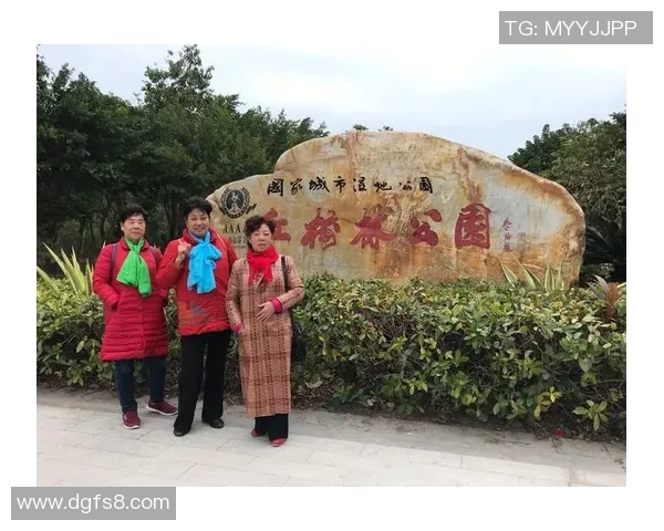 2018至2019赛季火箭队与活塞队精彩对决回顾与分析